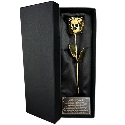 Lisa – 24K Goldbeschichtete Echte Konservierte Rose