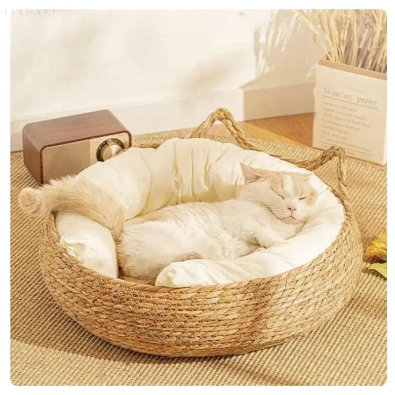 CozyPaw – Plüsch Katzenbett mit abnehmbarem Kissen und erhöhten Rändern