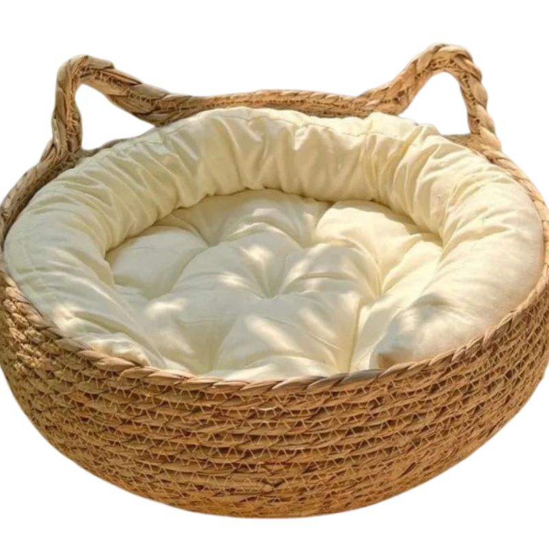 CozyPaw – Plüsch Katzenbett mit abnehmbarem Kissen und erhöhten Rändern