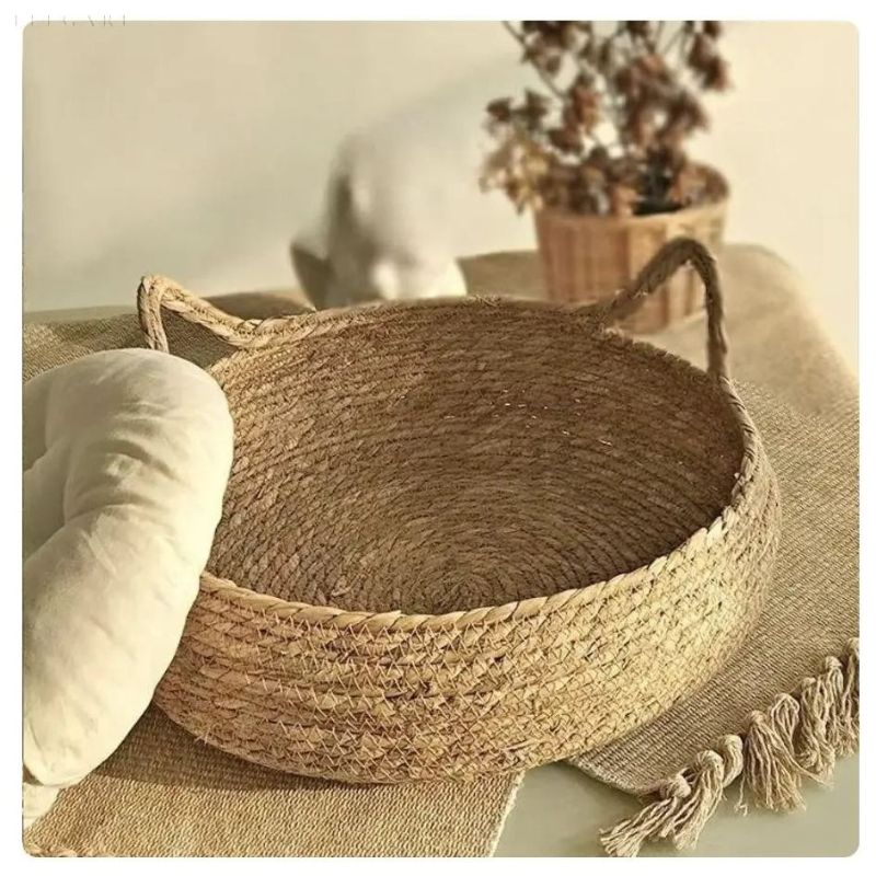 CozyPaw – Plüsch Katzenbett mit abnehmbarem Kissen und erhöhten Rändern